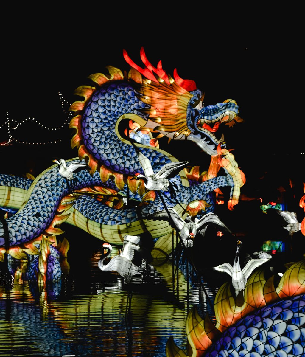 Este es el año del Dragón de Madera. FUENTE: Pexels