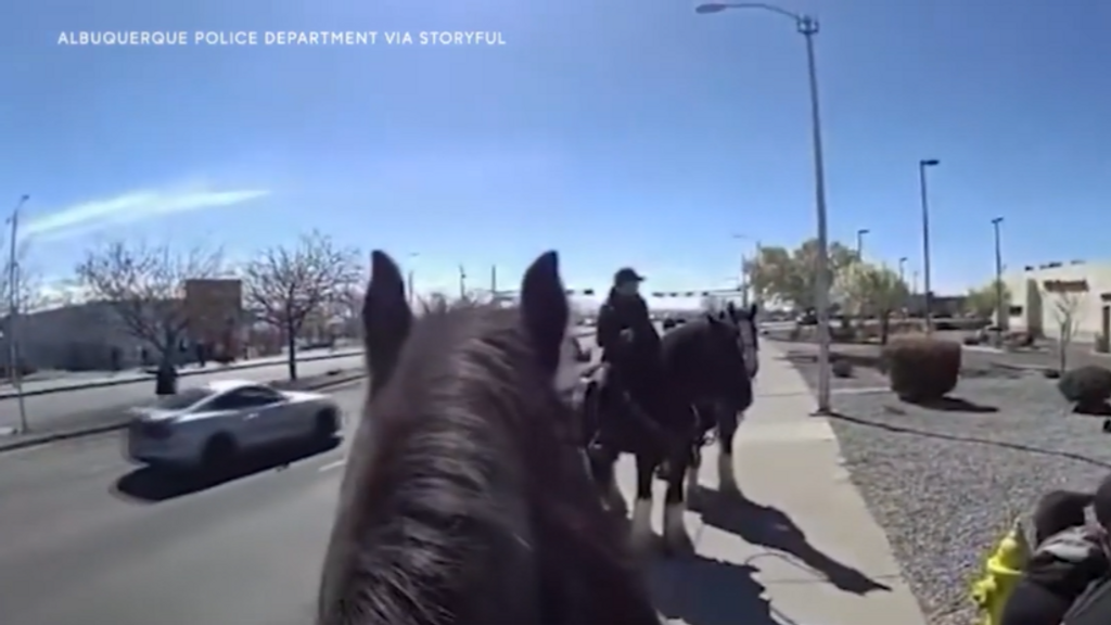 Persecución a caballo en Albuquerque (EE.UU.): el sospechoso acababa de robar en una farmacia