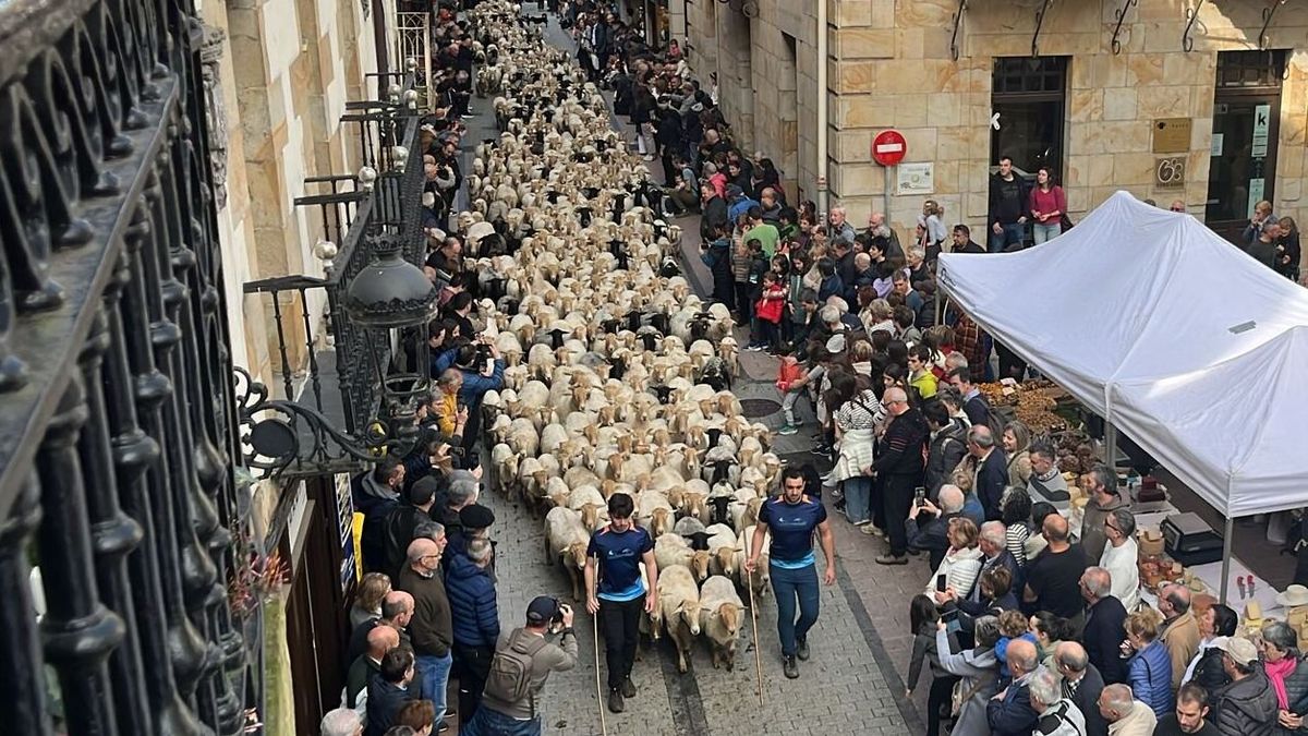 1.500 ovejas de cinco rebaños recorren las calles del casco antiguo de Ordizia