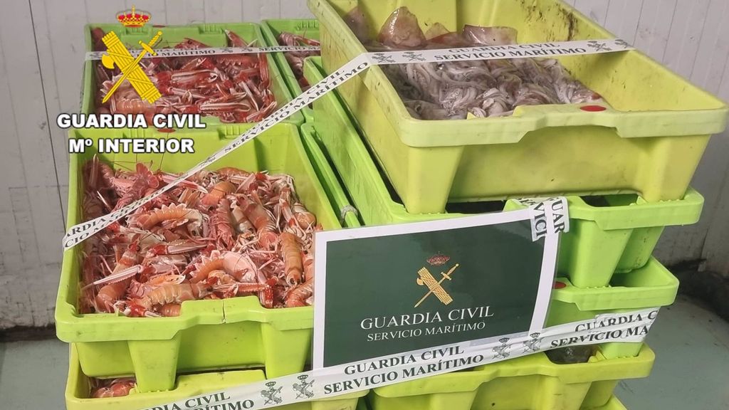 Intervienen en A Coruña 145 kilos de cigala capturados en zona prohibida