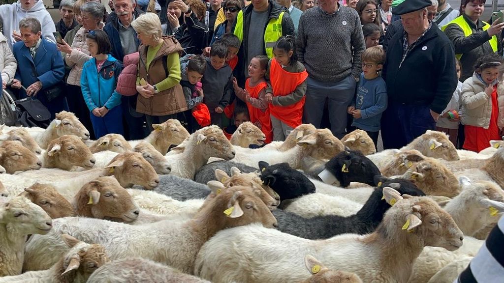 Las ovejas eran desplazadas desde los pastos bajos hasta la sierra de Aralar
