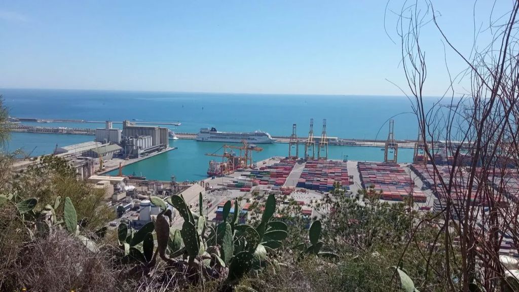 Retenido un crucero en el puerto de Barcelona: viajan a bordo 69 personas con visados falsos