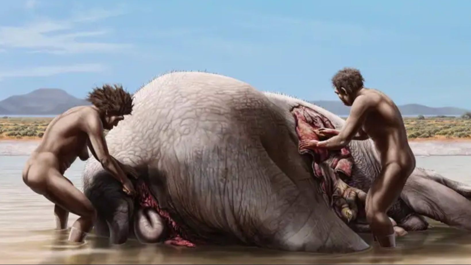 elefante