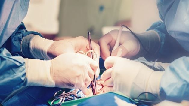Los dispositivos Impella sobre los que pesa una alerta de riesgo vital se usan para intervenciones coronarias con catéter.