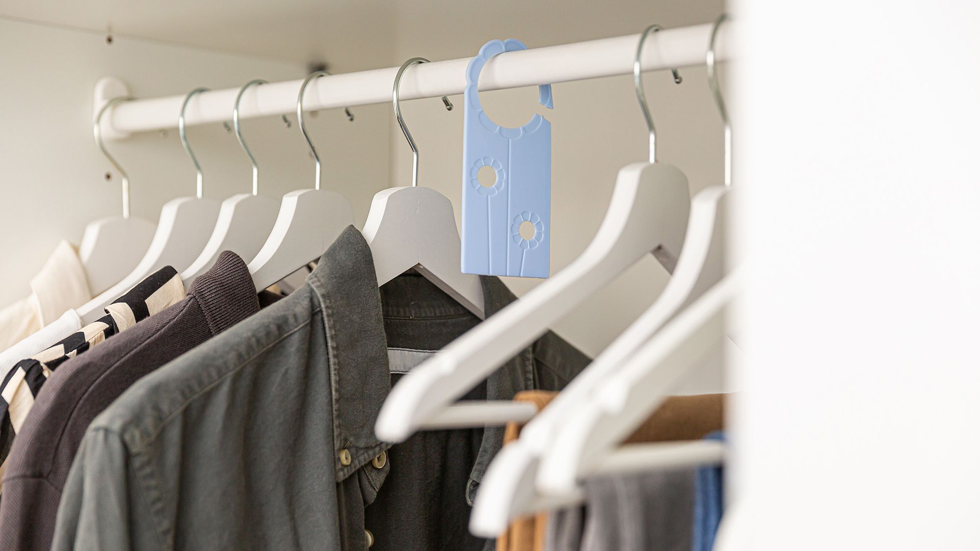 Puedes evitar el olor a humedad con el 'Absorbeolores Ropa Limpia'