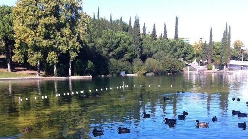 Vacían un lago en Sabadell para evitar "efectos adversos" por la imposibilidad de rellenarlo por la sequía
