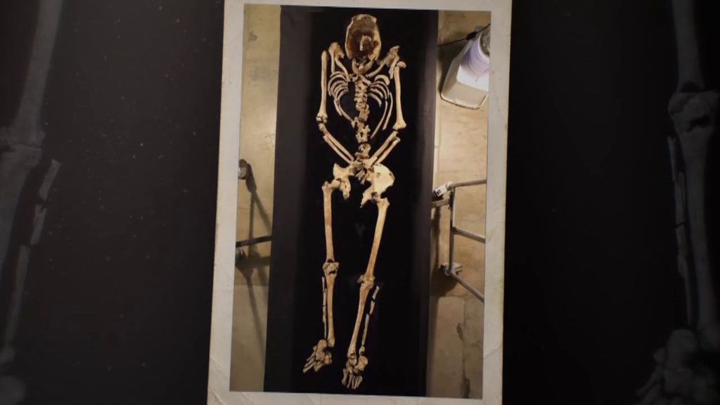 El esqueleto 4926