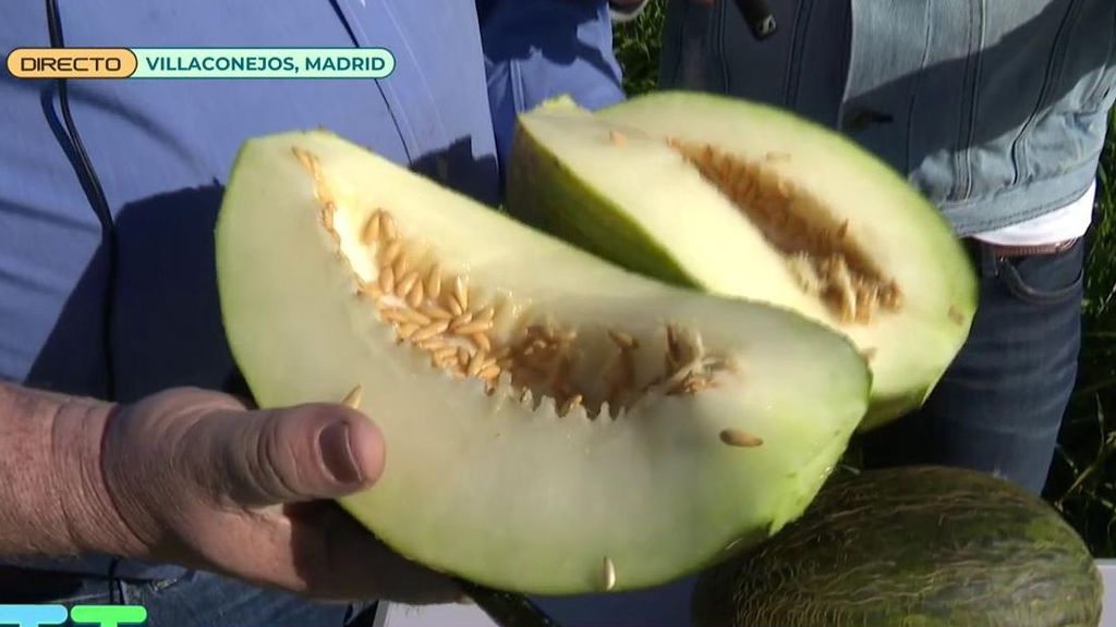 Alerta sanitaria por pesticidas en los melones de Marruecos: un experto muestra como diferenciarlos de los españoles