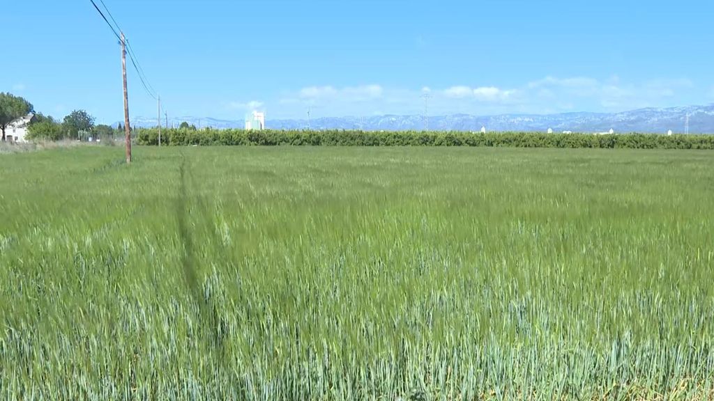 Cierran el regadío del pantano de Ulldecona por la sequía