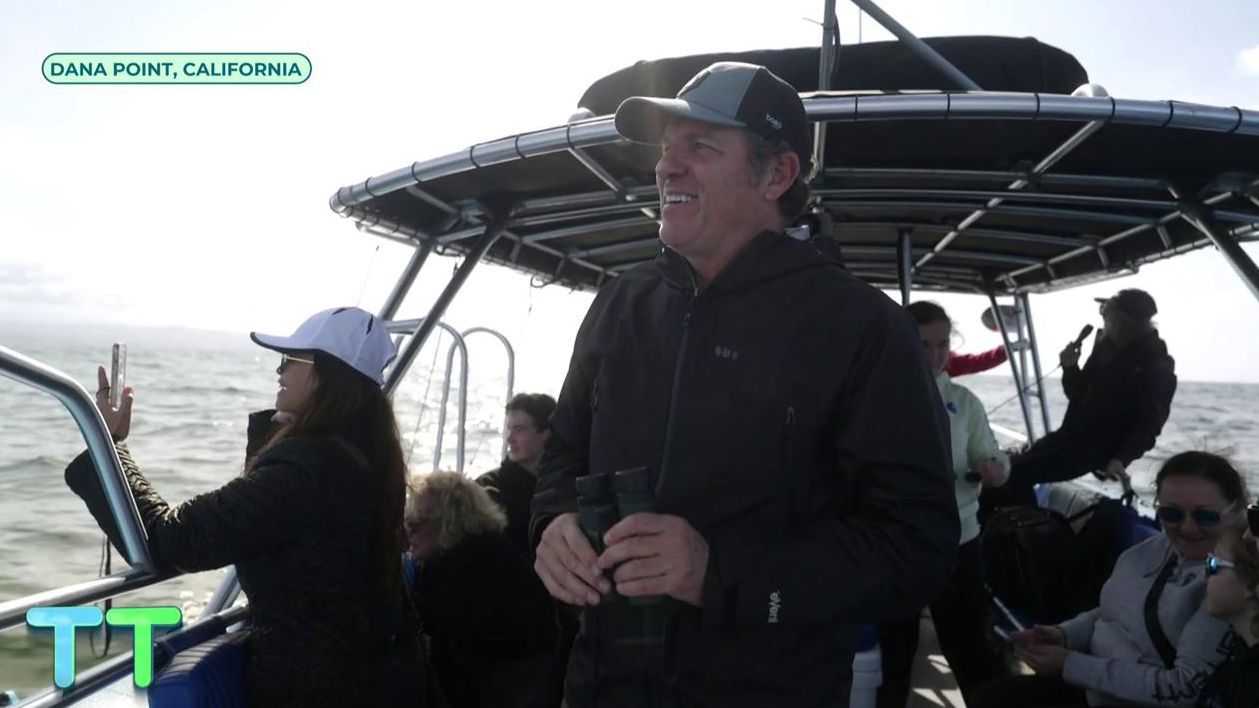 Mario Picazo en busca de la ballena gris, en Dana Point, California