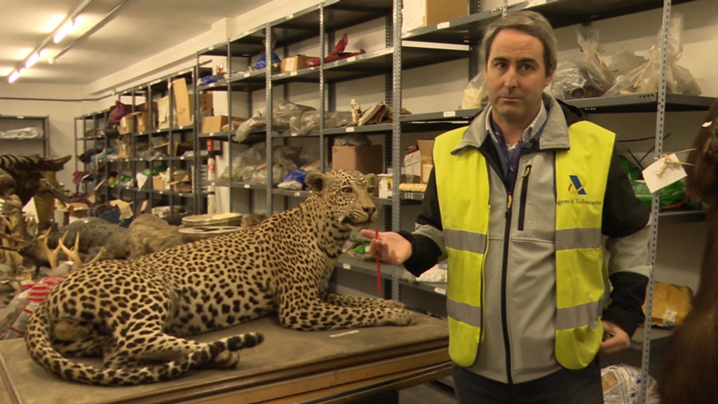 Así es el 'almacén de los horrores': animales exóticos incautados que pueden llegar a costar 100.000 euros el kilo