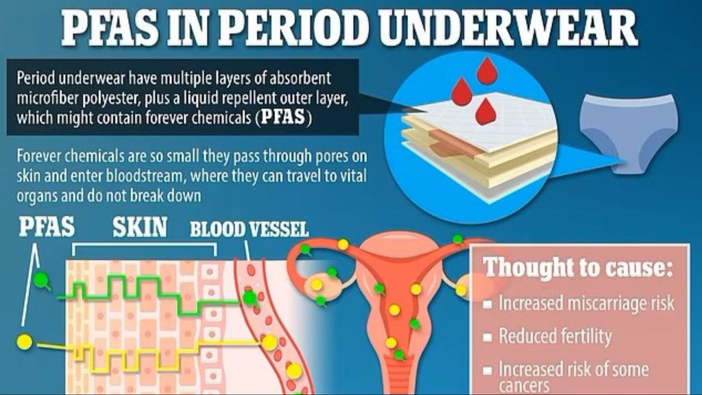 Daily Mail: PFA en los productos menstruales