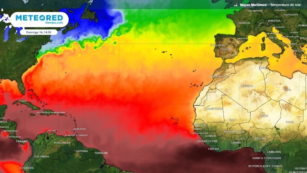 Tormentas y huracanes: estos son los fenómenos extremos que alertan a los meteorólogos