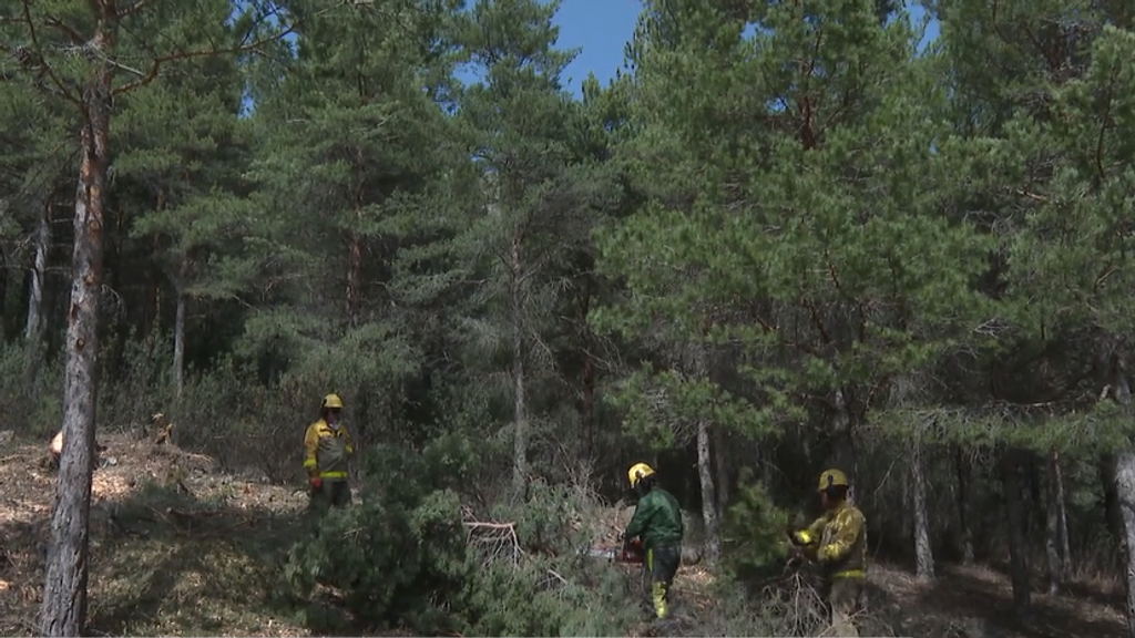 Comienza la preparación de los montes para prevenir incendios: en 2023 ardieron 89.000 hectáreas en España