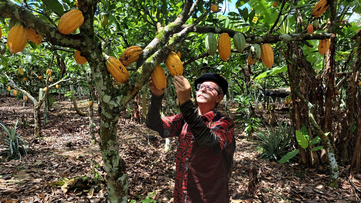 Rafa Gorrotxategi en una plantación de cacao