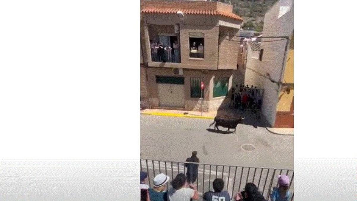 Un joven sufre la grave cogida de una vaquilla en las fiestas de Cullera