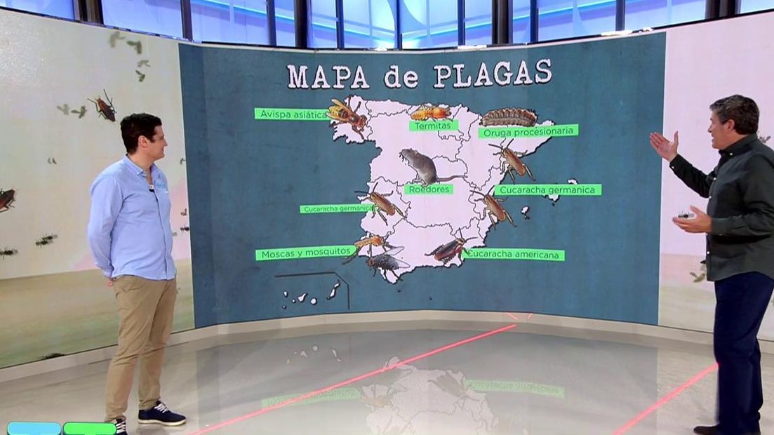 Ignacio Santamarta, responsable del control de plagas, en 'TAT'