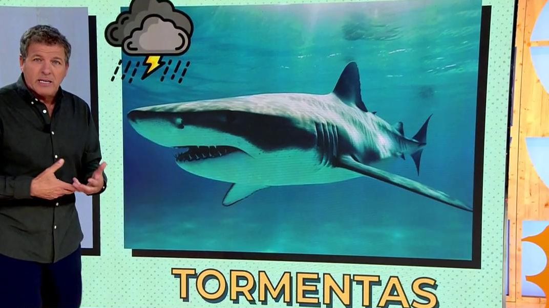 Los tiburones: tormentas