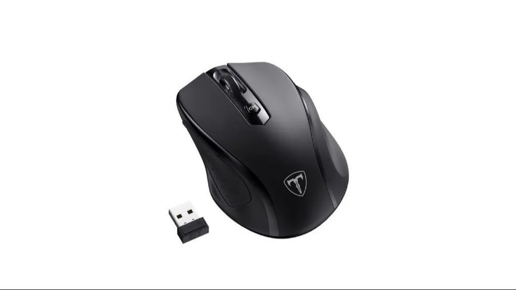 Ratón ergonómico wireless LODVIE