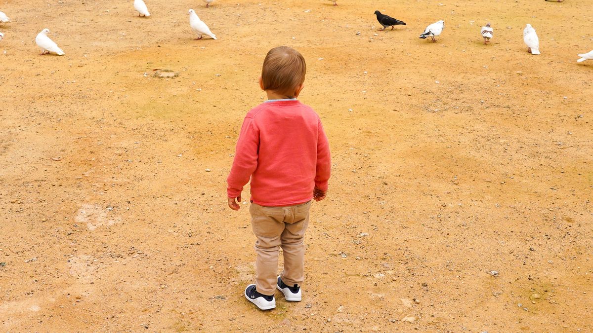 Un niño solo en un parque