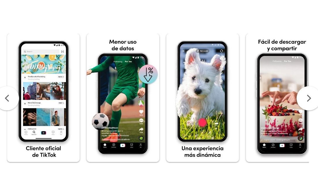 Aplicación TikTok Lite