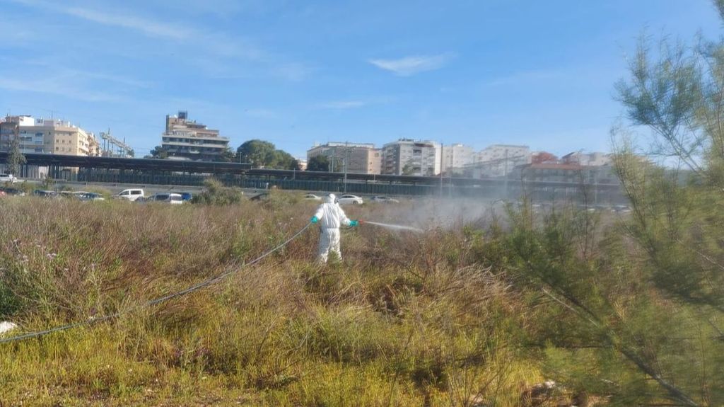 Trabajos de tratamiento de control de mosquitos en Huelva