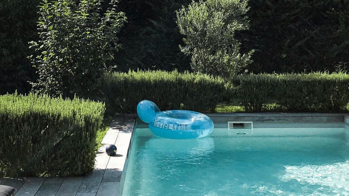 El hombre arrojó y ahogó al cachorro en una piscina de su domicilio particular de Dorrón (Pontevedra)