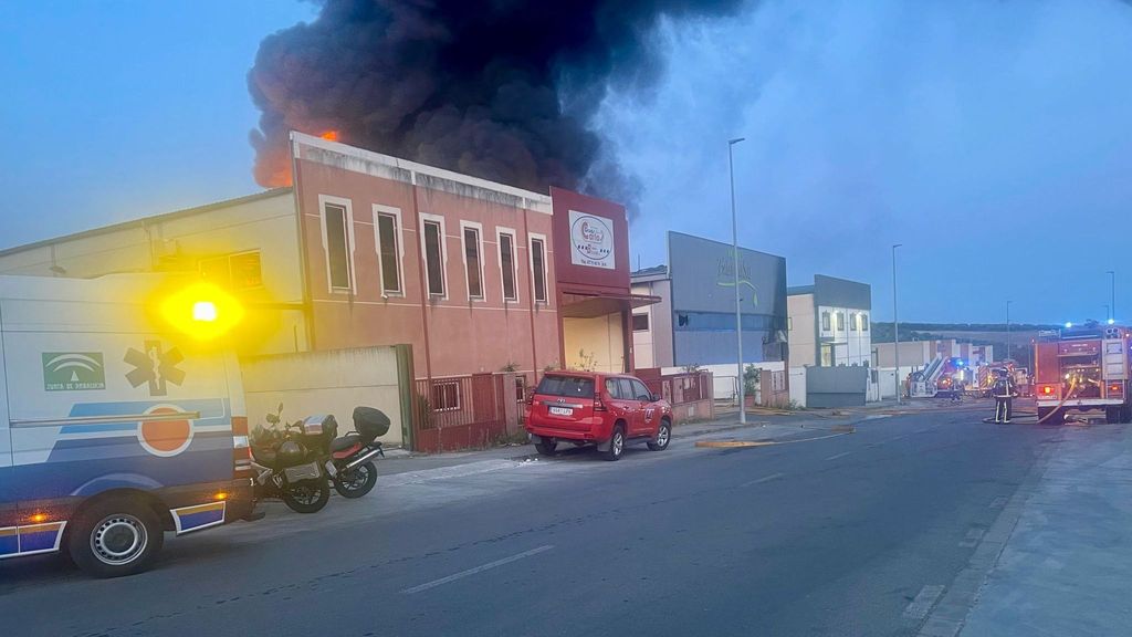 Bomberos actúan en la extinción de una incendio en una nave de aceite en Córboba
