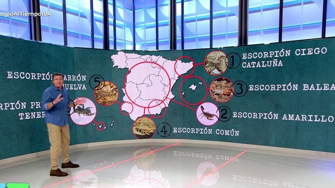 Las especies de escorpiones que hay en España