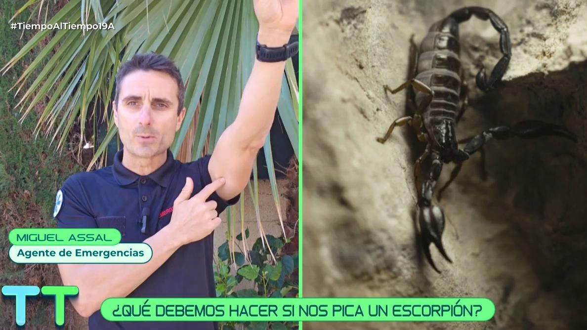 Miguel Assal, agente de Emergencias