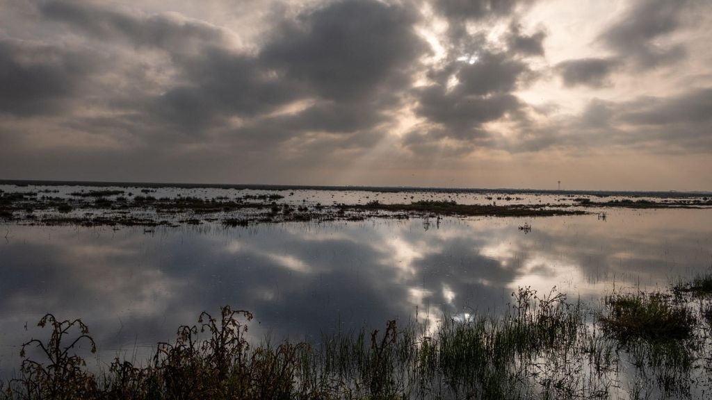 Cielos nubosos en las lagunas de Doñana