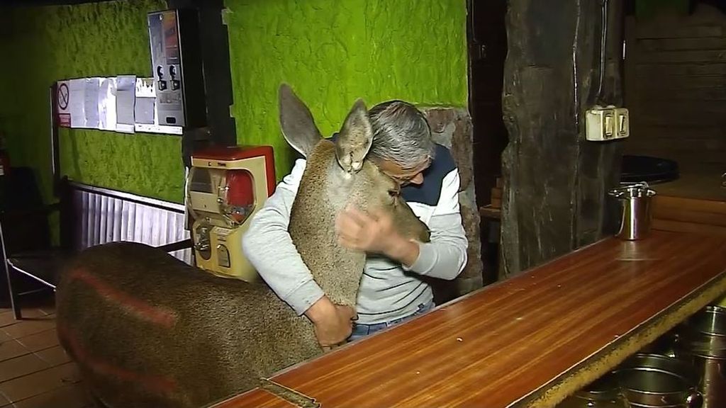 La bonita amistad entre Bambi, una cierva, y Aladino, un hostelero, en Asturias