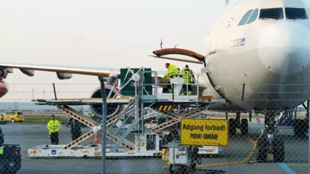 Un detenido por una amenaza de bomba en el aeropuerto danés de Billund, evacuado