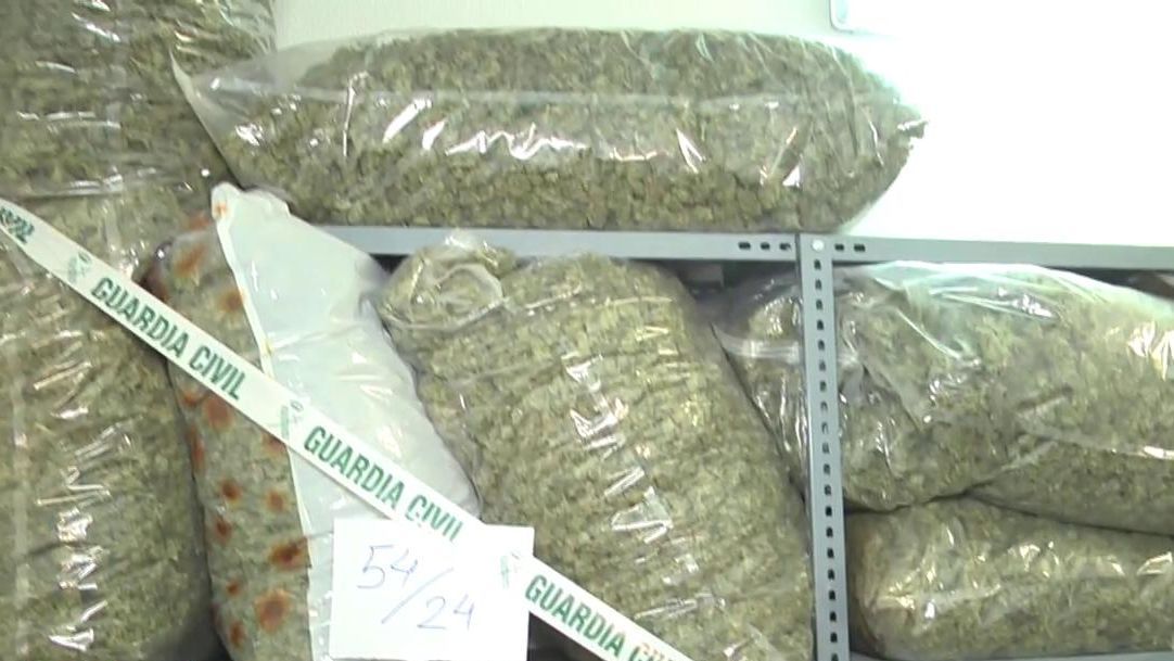 Exclusiva | ‘Tiempo al tiempo’ accede al almacén de marihuana de la Guardia Civil en Granada: dos plantaciones desmanteladas al día