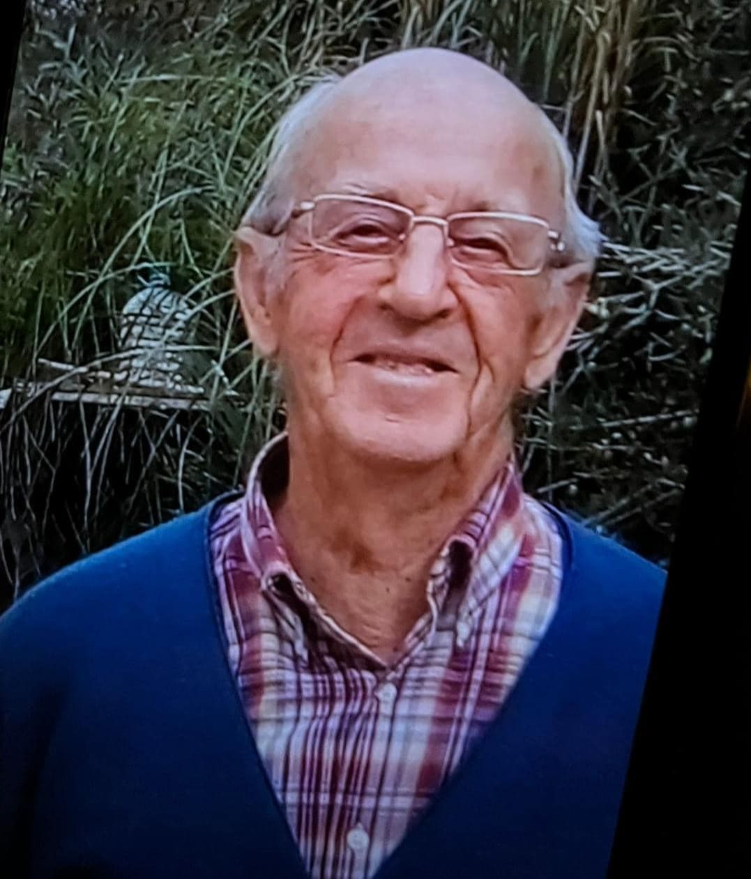 diego busqueda 2