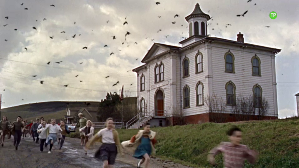 Un clásico del cine de terror psicológico: 'Los pájaros', este sábado 27 de abril a las 22.00 h.