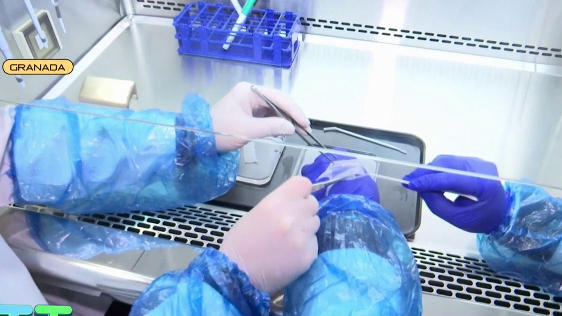 Así se hace la piel artificial