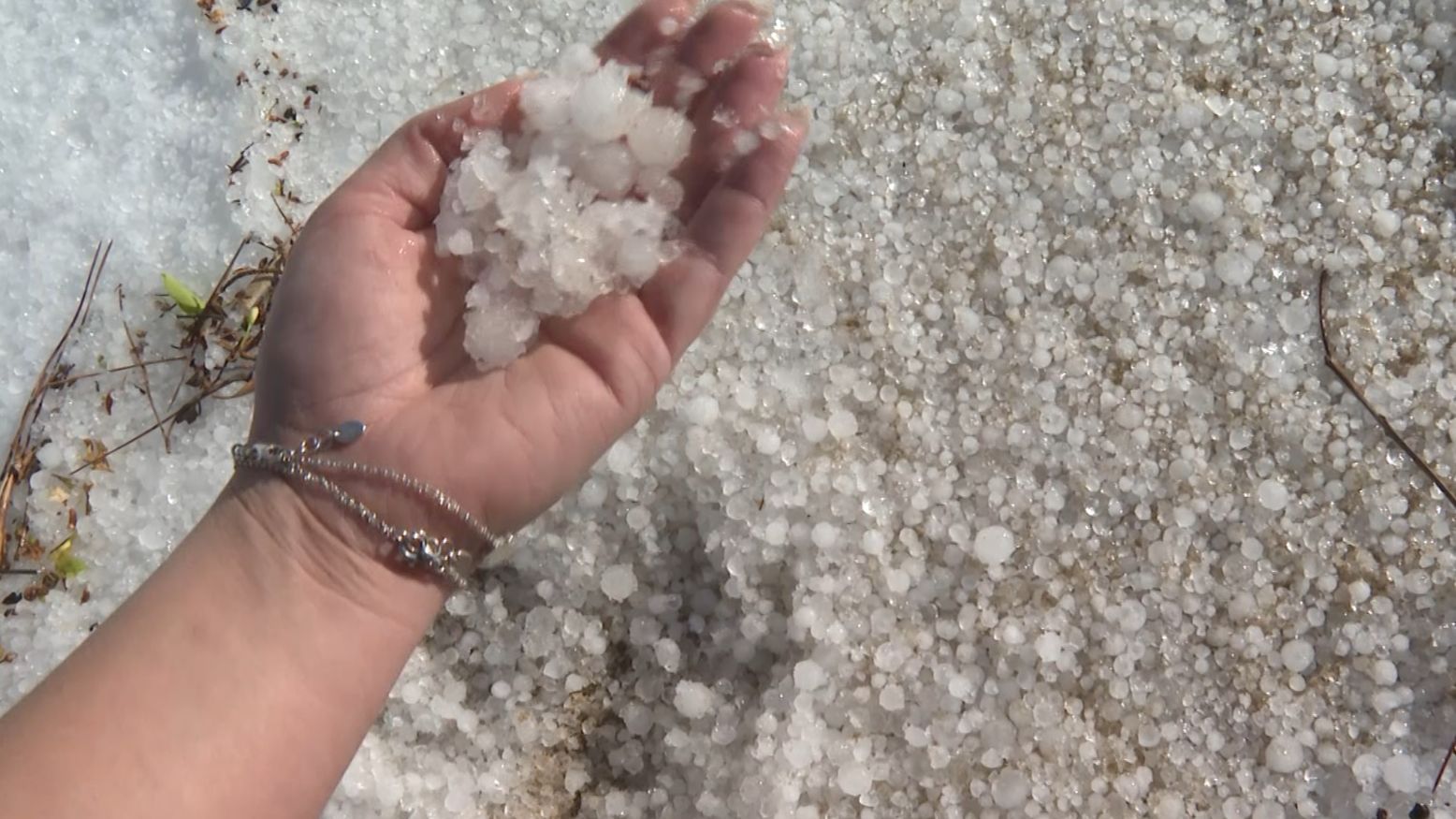 La playa de Altafulla, cubierta por un manto blanco tras graniza