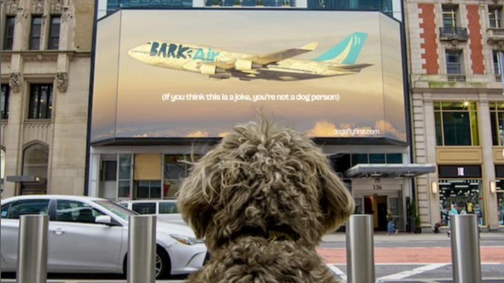 Los perros ya no viajarán con estés y ansiedad en el avión: primera clase de Nueva York a Londres por 8.000 dólares