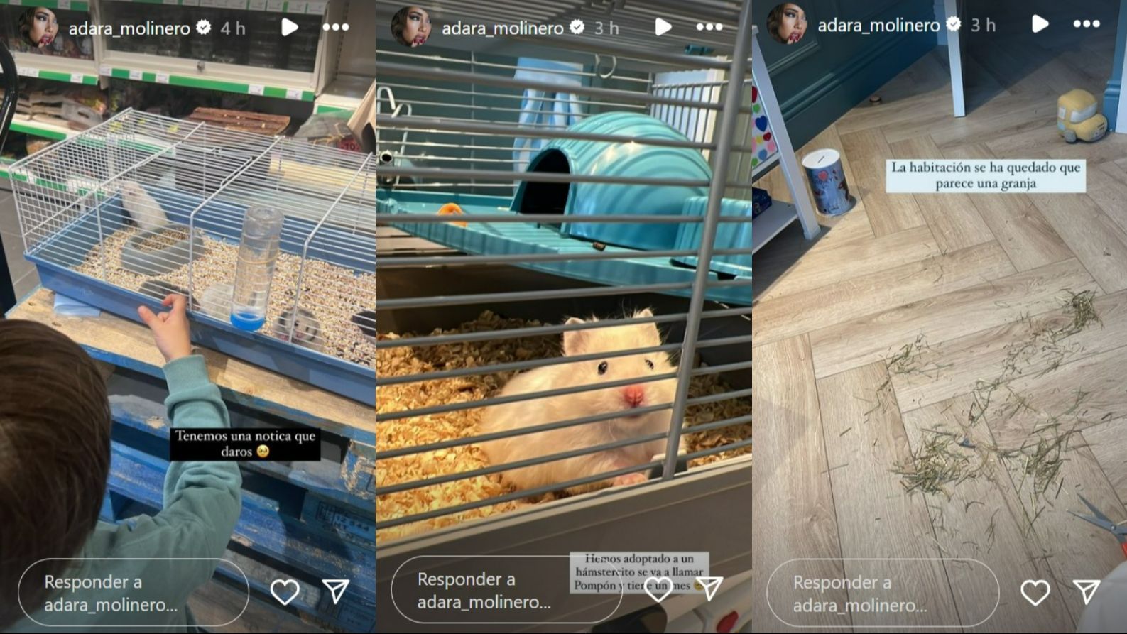 Adara cumple el sueño de su hijo de tener "una mascotita"