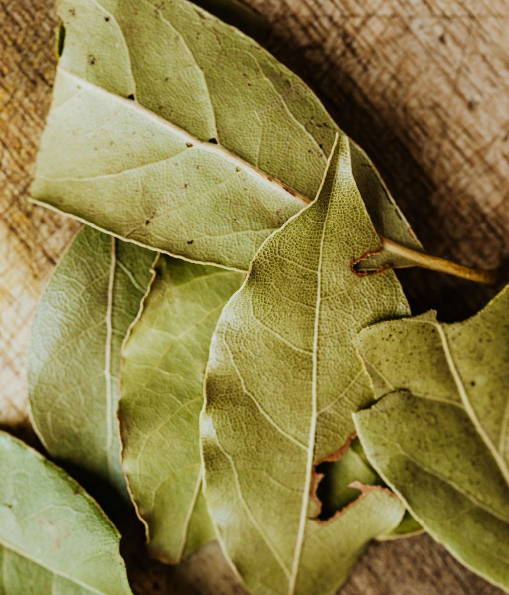 Utiliza laurel, pepino o vinagre para ahuyentarlas. FUENTE: Pexels