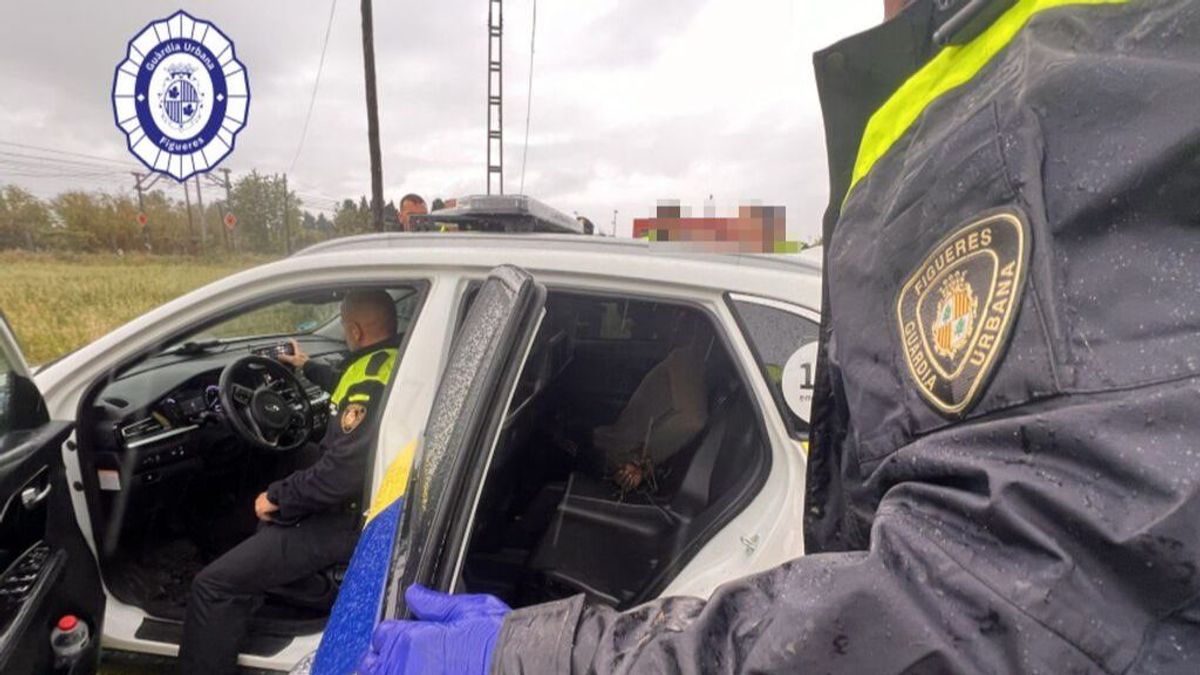 Detenido por agredir a dos trabajadores y tres perros de una protectora en Figueres, Girona