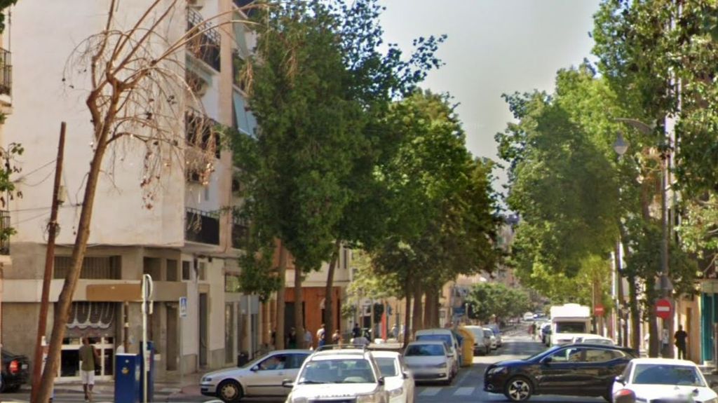 Herida una mujer al caerle una rama en la calle Don Juan de Austria, en Málaga