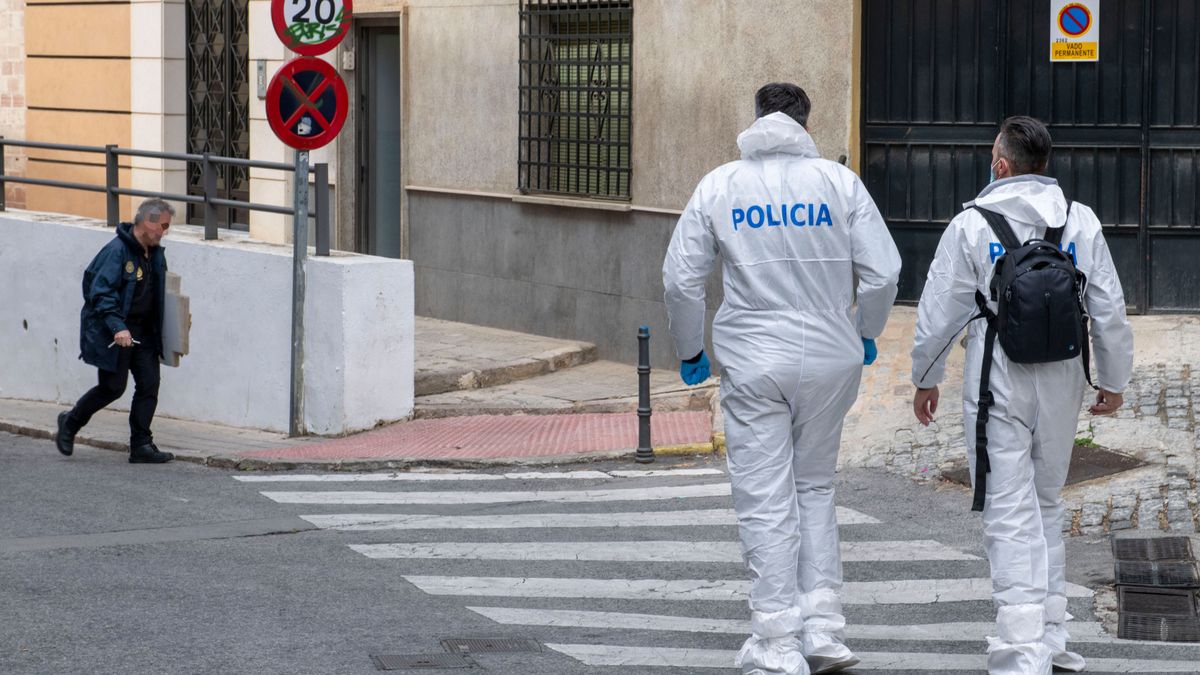 La madre acusada de asesinar a su hijo de 6 años en Jaén, tras el ...