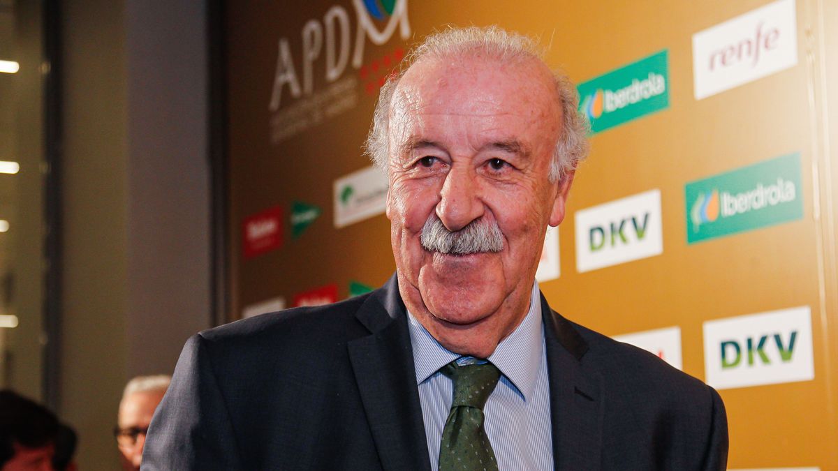 Vicente del Bosque presidirá la comisión que tutelará y supervisará el funcionamiento de la RFEF