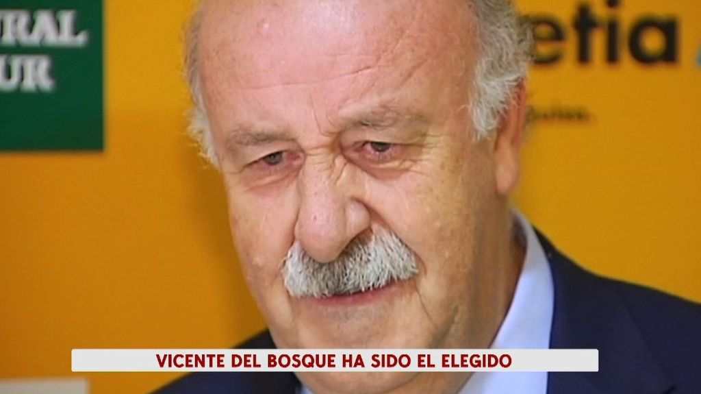 Vicente del Bosque, elegido por el Gobierno para tutelar la Federación Española de Fútbol