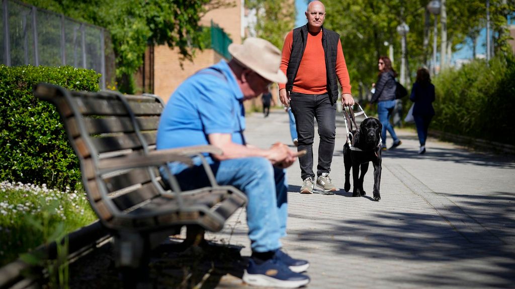 Un hombre y su perro guía caminando.