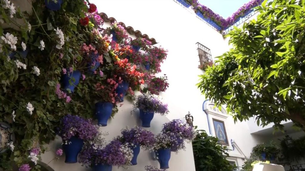La Fiesta de los Patios comienza en Córdoba con 63 recintos abiertos al visitante