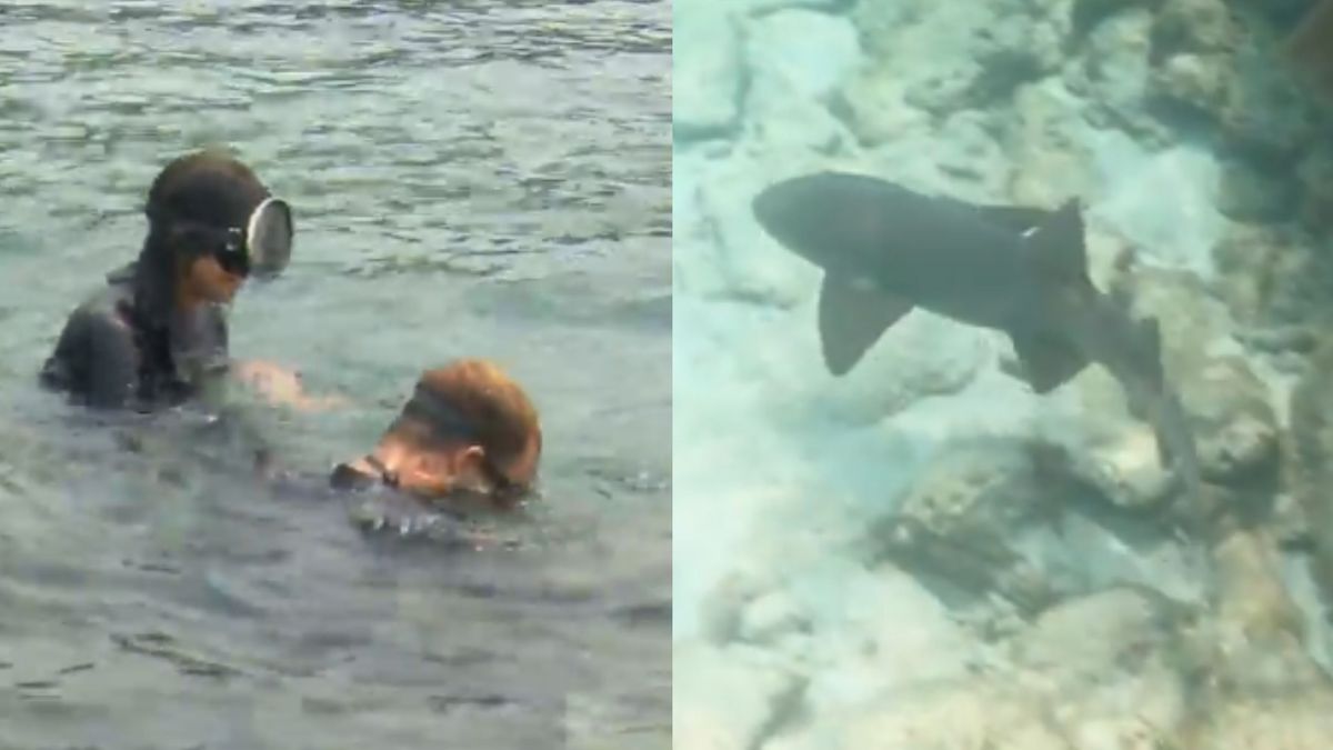 Marieta y Rubén Torres suman un bonito momento juntos pescando y un tiburón les sorprende: "¡Me voy!"