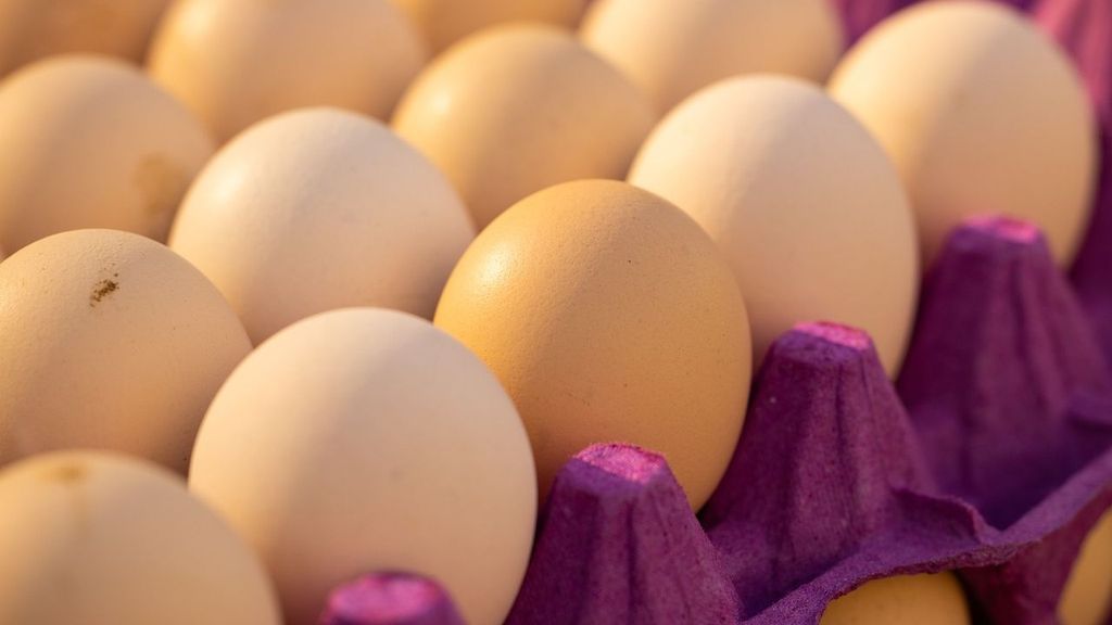 Según un estudio, consumir huevos, aves o mariscos podría reducir el riesgo de sufrir trastorno bipolar